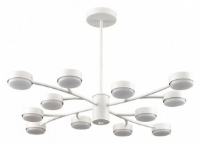 Люстра на штанге Lumion TORINA 8265/12 в Верхней Пышме - verhnyaya-pyshma.ok-mebel.com | фото