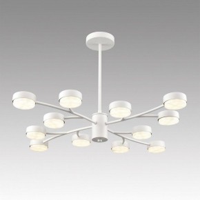 Люстра на штанге Lumion TORINA 8265/12 в Верхней Пышме - verhnyaya-pyshma.ok-mebel.com | фото 3