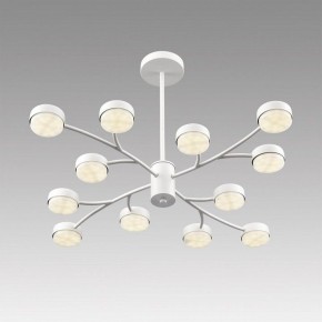 Люстра на штанге Lumion TORINA 8265/12 в Верхней Пышме - verhnyaya-pyshma.ok-mebel.com | фото 5