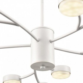 Люстра на штанге Lumion TORINA 8265/15 в Верхней Пышме - verhnyaya-pyshma.ok-mebel.com | фото 8
