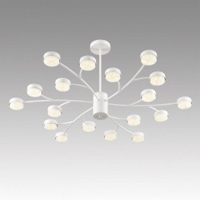 Люстра на штанге Lumion TORINA 8265/18 в Верхней Пышме - verhnyaya-pyshma.ok-mebel.com | фото 5