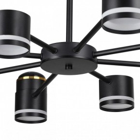 Люстра на штанге Lumion Virsava 8234/8C в Верхней Пышме - verhnyaya-pyshma.ok-mebel.com | фото 10