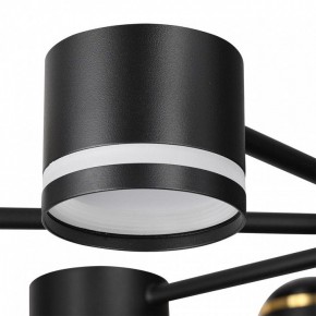 Люстра на штанге Lumion Virsava 8234/8C в Верхней Пышме - verhnyaya-pyshma.ok-mebel.com | фото 8
