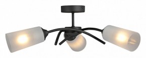 Люстра на штанге Vitaluce V2850 V2850-1/3PL в Верхней Пышме - verhnyaya-pyshma.ok-mebel.com | фото 3