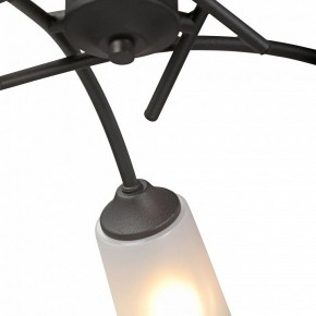 Люстра на штанге Vitaluce V2850 V2850-1/5PL в Верхней Пышме - verhnyaya-pyshma.ok-mebel.com | фото 6