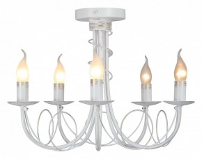 Люстра на штанге Vitaluce V3035 V3035-0/5PL в Верхней Пышме - verhnyaya-pyshma.ok-mebel.com | фото 2