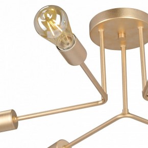 Люстра на штанге Vitaluce V3071 V3071-8/6PL в Верхней Пышме - verhnyaya-pyshma.ok-mebel.com | фото 6