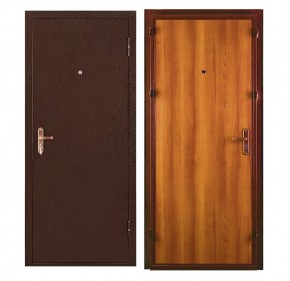 Металлическая дверь СПЕЦ ПРО (МЕТАЛЛ-ПАНЕЛЬ) 2060*860/ПРАВАЯ в Верхней Пышме - verhnyaya-pyshma.ok-mebel.com | фото