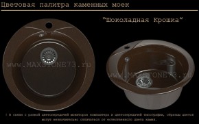 Мойка кухонная MS-1 (D470) в Верхней Пышме - verhnyaya-pyshma.ok-mebel.com | фото 11