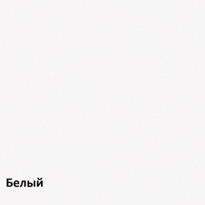 Муссон Шкаф двухстворчатый 13.198 в Верхней Пышме - verhnyaya-pyshma.ok-mebel.com | фото 6