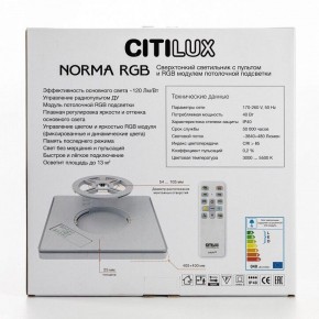 Накладной светильник Citilux Norma CL749K301 в Верхней Пышме - verhnyaya-pyshma.ok-mebel.com | фото 10