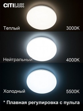 Накладной светильник Citilux Симпла CL714330G в Верхней Пышме - verhnyaya-pyshma.ok-mebel.com | фото 4
