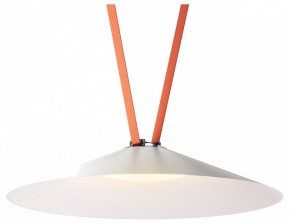 Накладной светильник Denkirs Belty Flow DK5569-WH+BK в Верхней Пышме - verhnyaya-pyshma.ok-mebel.com | фото