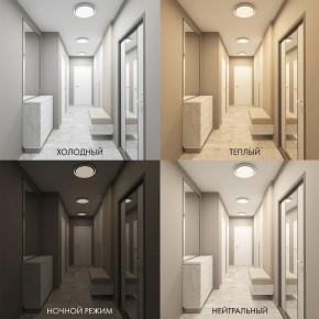 Накладной светильник Denkirs Cany DK6516-WH в Верхней Пышме - verhnyaya-pyshma.ok-mebel.com | фото 2