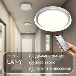 Накладной светильник Denkirs Cany DK6516-WH в Верхней Пышме - verhnyaya-pyshma.ok-mebel.com | фото 4