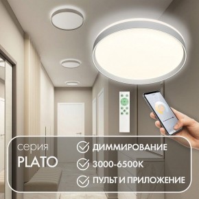 Накладной светильник Denkirs PLATO DK6511-WH/1 в Верхней Пышме - verhnyaya-pyshma.ok-mebel.com | фото 4