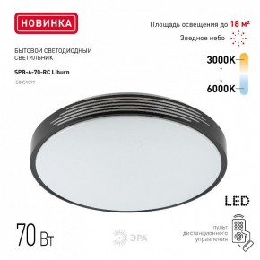 Накладной светильник Эра Классик SPB-6-70-RC Liburn в Верхней Пышме - verhnyaya-pyshma.ok-mebel.com | фото 10