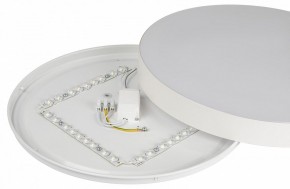 Накладной светильник Эра Relict Relict 38 SPB-6-40 4К WH в Верхней Пышме - verhnyaya-pyshma.ok-mebel.com | фото 7