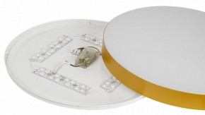 Накладной светильник Эра Relict Relict 48 Pult SPB-6-60-RC MG в Верхней Пышме - verhnyaya-pyshma.ok-mebel.com | фото 10