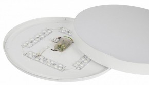 Накладной светильник Эра Relict Relict 48 Pult SPB-6-60-RC WH в Верхней Пышме - verhnyaya-pyshma.ok-mebel.com | фото 11