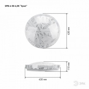 Накладной светильник Эра Relict SPB-6-50-6,5K Syuzi в Верхней Пышме - verhnyaya-pyshma.ok-mebel.com | фото 3