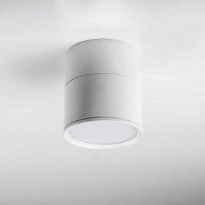 Накладной светильник Lightstar Acuto 215886 в Верхней Пышме - verhnyaya-pyshma.ok-mebel.com | фото 3