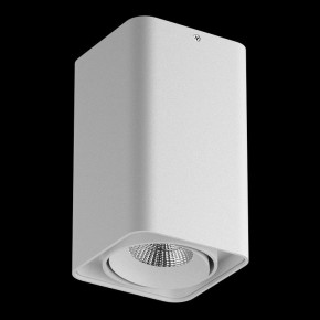 Накладной светильник Lightstar Monocco 052136-IP65 в Верхней Пышме - verhnyaya-pyshma.ok-mebel.com | фото 2