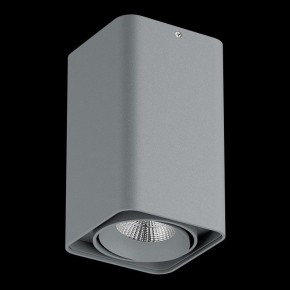 Накладной светильник Lightstar Monocco 052139-IP65 в Верхней Пышме - verhnyaya-pyshma.ok-mebel.com | фото 2