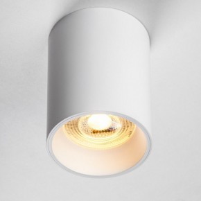 Накладной светильник Lightstar Rullo 213436 в Верхней Пышме - verhnyaya-pyshma.ok-mebel.com | фото 2