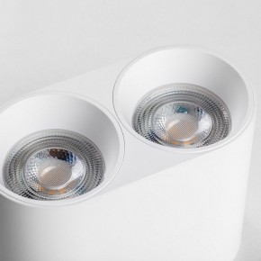 Накладной светильник Lightstar Rullo 213466 в Верхней Пышме - verhnyaya-pyshma.ok-mebel.com | фото 6