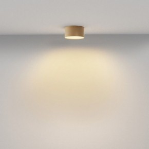 Накладной светильник Maytoni Zon C032CL-12W2.7K-RD-MG в Верхней Пышме - verhnyaya-pyshma.ok-mebel.com | фото 4