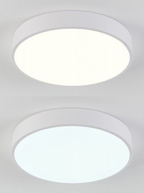 Накладной светильник Natali Kovaltseva  LED LAMPS 81111/5C в Верхней Пышме - verhnyaya-pyshma.ok-mebel.com | фото 4