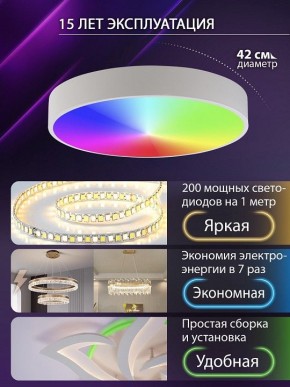 Накладной светильник Natali Kovaltseva MODERN LED LAMPS 81105/1C в Верхней Пышме - verhnyaya-pyshma.ok-mebel.com | фото 6