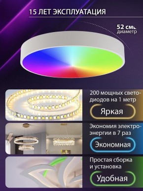 Накладной светильник Natali Kovaltseva MODERN LED LAMPS 81105/2C в Верхней Пышме - verhnyaya-pyshma.ok-mebel.com | фото 6