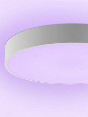 Накладной светильник Natali Kovaltseva MODERN LED LAMPS 81105/2C в Верхней Пышме - verhnyaya-pyshma.ok-mebel.com | фото 9