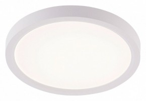Накладной светильник Natali Kovaltseva PLAIN LED LAMPS 81113/1C в Верхней Пышме - verhnyaya-pyshma.ok-mebel.com | фото
