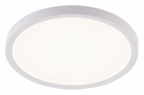 Накладной светильник Natali Kovaltseva PLAIN LED LAMPS 81113/2C в Верхней Пышме - verhnyaya-pyshma.ok-mebel.com | фото