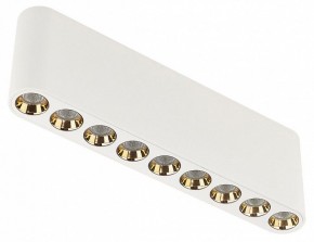 Накладной светильник Odeon Light Small 7091/21CL в Верхней Пышме - verhnyaya-pyshma.ok-mebel.com | фото