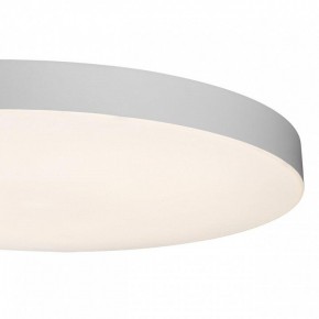 Накладной светильник Sonex Gamma 7759/36L в Верхней Пышме - verhnyaya-pyshma.ok-mebel.com | фото 7