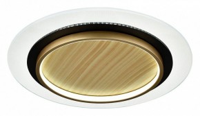 Накладной светильник Sonex Sunny 7731/80L в Верхней Пышме - verhnyaya-pyshma.ok-mebel.com | фото