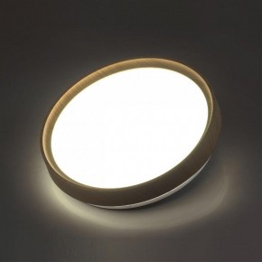 Накладной светильник Sonex Woodi 7603/CL в Верхней Пышме - verhnyaya-pyshma.ok-mebel.com | фото 3