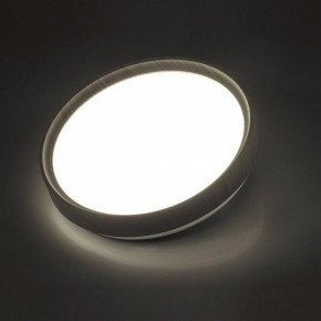Накладной светильник Sonex Woodi 7627/CL в Верхней Пышме - verhnyaya-pyshma.ok-mebel.com | фото 3