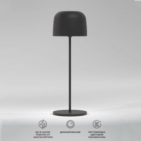 Настольная лампа декоративная Elektrostandard Bitty a069002 в Верхней Пышме - verhnyaya-pyshma.ok-mebel.com | фото 2