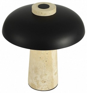 Настольная лампа декоративная ST-Luce Earthy SL1194.424.01 в Верхней Пышме - verhnyaya-pyshma.ok-mebel.com | фото 5
