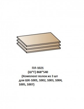 ПЛ-1021 (Комплект полок из 3 шт для ШК-1001, 1002, 1003, 1004, 1005, 1007) в Верхней Пышме - verhnyaya-pyshma.ok-mebel.com | фото