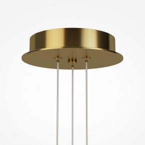 Подвесная люстра Maytoni Arana MOD401PL-L108BS3K в Верхней Пышме - verhnyaya-pyshma.ok-mebel.com | фото 7