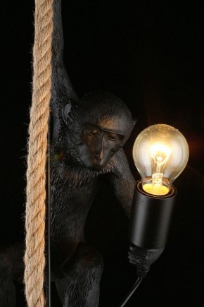 Подвесной светильник Aployt Magali APL.309.16.01 в Верхней Пышме - verhnyaya-pyshma.ok-mebel.com | фото 16