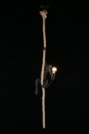 Подвесной светильник Aployt Magali APL.309.16.01 в Верхней Пышме - verhnyaya-pyshma.ok-mebel.com | фото 3