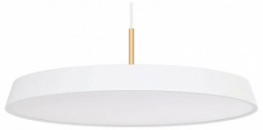 Подвесной светильник Arlight ELEGANT 033925(1) в Верхней Пышме - verhnyaya-pyshma.ok-mebel.com | фото