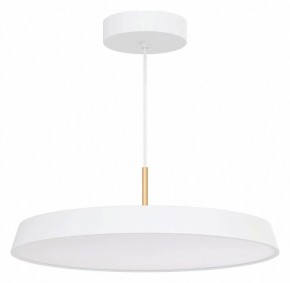 Подвесной светильник Arlight ELEGANT 033925(1) в Верхней Пышме - verhnyaya-pyshma.ok-mebel.com | фото 2